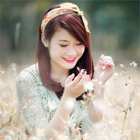 Câu hỏi trắc nghiệm môn Hóa học lớp 9 - Đề 33