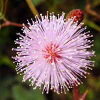 Đề ôn thi học kì 2 môn tiếng Anh lớp 7 năm học 2017-2018