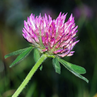 Tổng hợp bài tập tiếng Anh lớp 10 cả năm có đáp án