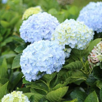 Bài kiểm tra năng lực đầu năm môn tiếng Anh lớp 10 (Bài số 3)