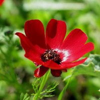 Đề kiểm tra 1 tiết môn tiếng Anh lớp 10 trường THPT Vĩnh Định, Quảng Trị