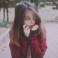 Câu hỏi trắc nghiệm môn Vật lý lớp 7 - Phần 8