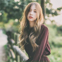 Câu hỏi trắc nghiệm môn Lịch sử lớp 7 - Phần 3