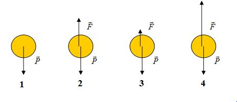Câu hỏi ôn tập môn vậy lý