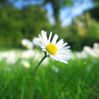 Giải bài tập SBT Tiếng Anh lớp 9 chương trình mới Unit 10: Space Travel