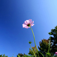 Giải bài tập SBT Tiếng Anh lớp 9 chương trình mới Unit 12: My Future Career