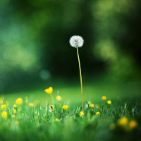 Giải bài tập SBT Tiếng Anh lớp 9 chương trình mới Unit 7: Recipes And Eating Habits