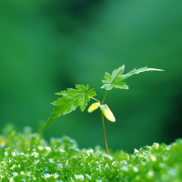 Giải bài tập SBT Tiếng Anh lớp 9 chương trình mới Unit 8: Tourism