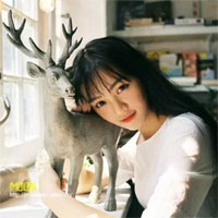 Câu hỏi trắc nghiệm môn Vật lý lớp 8 - Phần 11