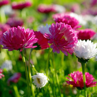 Giải bài tập SBT Tiếng Anh lớp 10 chương trình mới Unit 5: Inventions