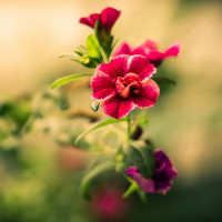 Bài tập cách thành lập từ tiếng Anh lớp 8