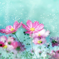 Giải bài tập SBT Tiếng Anh lớp 10 chương trình mới Unit 10: Ecotourism