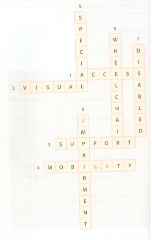 Giải bài tập tiếng Anh lớp 11 Unit 4