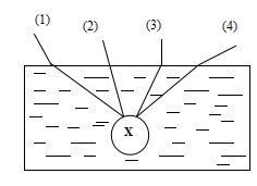 Câu hỏi trắc nghiệm môn Vật lý lớp 9