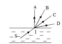 Câu hỏi trắc nghiệm môn Vật lý lớp 9