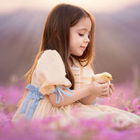 Giáo án lớp 2 - Tuần 29