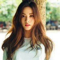 Giáo án Ngữ văn 12: Qúa trình văn học và phong cách văn học