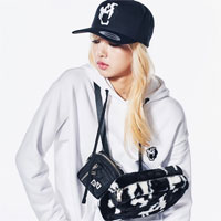 Giáo án Ngữ văn 12: Viết bài làm văn số năm - Văn nghị luận văn học