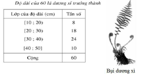 Giải chi tiết bài tập Đại số lớp 10