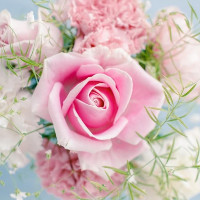 Bài tập trắc nghiệm Tiếng Anh lớp 6 Unit 14: Making Plan (Test 1) có đáp án