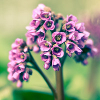 Bài tập trắc nghiệm Tiếng Anh lớp 6 Unit 16: Man and Environment (Luyện tập) có đáp án