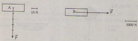 Giải bài tập Vật lý bài Biểu diễn lực
