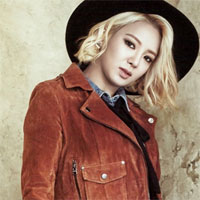 Giáo án Địa lý 12 bài 43: Các vùng kinh tế trọng điểm