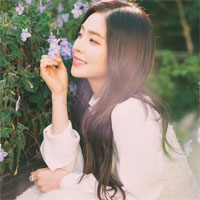 Giáo án Địa lý 12 bài 35: Vấn đề phát triển kinh tế - xã hội ở Bắc Trung Bộ