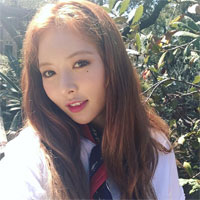 Giáo án Sinh học 12 bài 13: Ảnh hưởng của môi trường lên sự biểu hiện của gen