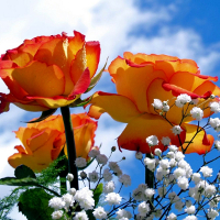 Giải bài tập SGK Tiếng Anh lớp 4 Chương trình mới Unit 11: What time is it?