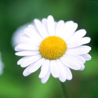 Giải bài tập SGK Tiếng Anh lớp 4 Chương trình mới Unit 7: What do you like doing?