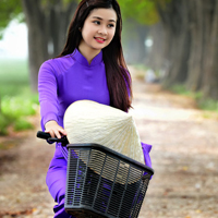 Giải bài tập SGK Vật lý lớp 9 bài 4: Đoạn mạch nối tiếp