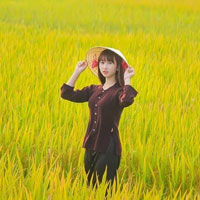 Giáo án Hóa học 8 bài 13: Phản ứng hóa học (Tiết 2)