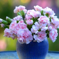 Giải bài tập SGK Tiếng Anh lớp 4 Chương trình mới Unit 17: How much is the T-shirt?