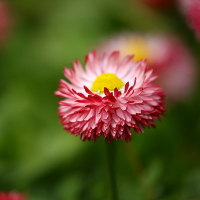 Giải bài tập SGK Tiếng Anh lớp 4 Chương trình mới: Review 3