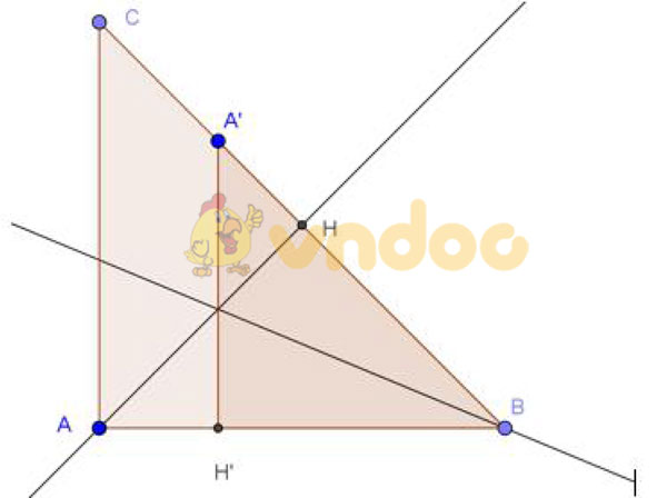 Giải bài tập Toán 11 chương 1 bài 8
