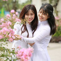 Giáo án Hóa học 8: Ôn tập học kì II (Tiết 2)