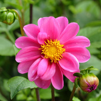 Giải bài tập SGK Tiếng Anh lớp 5 Chương trình mới Unit 12: Don't ride your bike too fast!