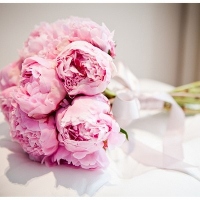 Giải bài tập SGK Tiếng Anh lớp 5 Chương trình mới Unit 14: What Happened In The Story?