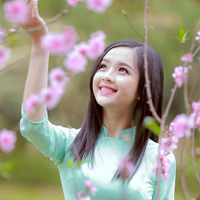 Luyện tập bài Các phương châm hội thoại (Tiếp theo)