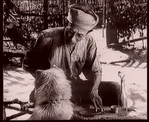 Phân tích diễn biến tâm trạng lão Hạc xung quanh chuyện bán con chó Vàng