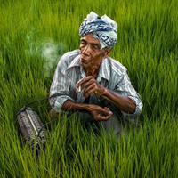 Phân tích diễn biến tâm trạng lão Hạc xung quanh chuyện bán con chó Vàng