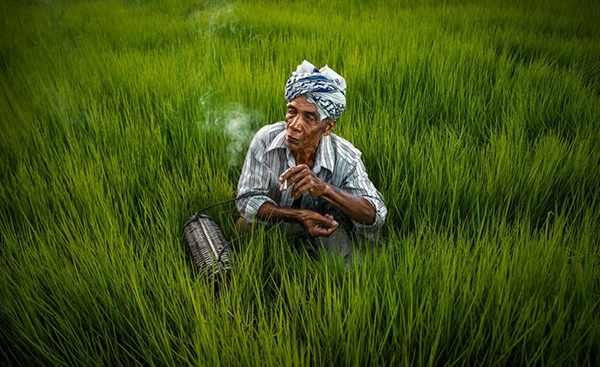 Suy nghĩ về cái chết của Lão Hạc trong truyện ngắn cùng tên