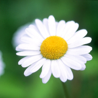 Giải bài tập SGK Tiếng Anh lớp 5 Chương trình mới: Review 3