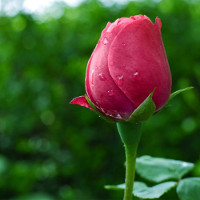 Kiểm tra từ vựng tiếng Anh lớp 5 Unit 1 + 2 + 3