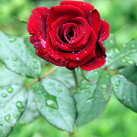 Ngữ pháp tiếng Anh lớp 3 chương trình mới Unit 10: What do you do at break time?