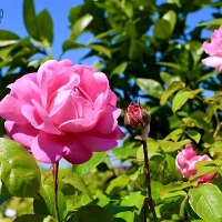 Ngữ pháp tiếng Anh lớp 3 chương trình mới Unit 12: This is my house