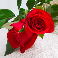 Ngữ pháp tiếng Anh lớp 3 chương trình mới Unit 6: Stand up!