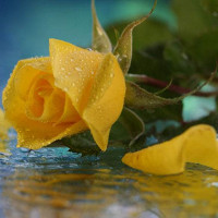 Ngữ pháp tiếng Anh lớp 3 chương trình mới Unit 7: That's my school