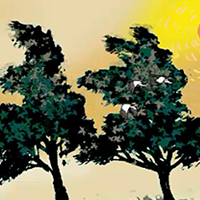 Giới thiệu về tác giả Ai-ma-tốp và tác phẩm Hai cây phong